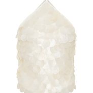 B92-2025.05.21-WHITE-FOX_4031