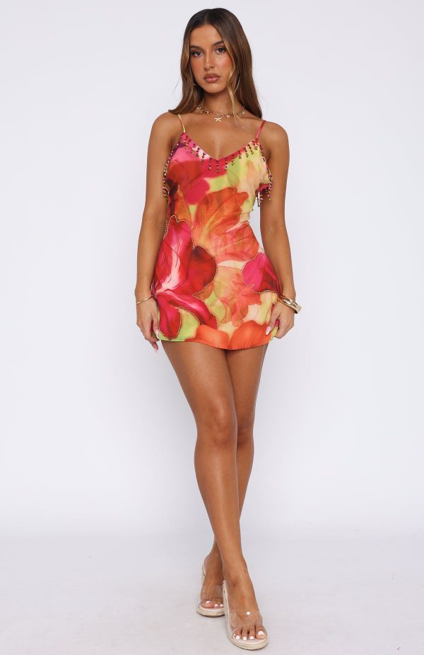 white-fox-roman-holiday-mini-dress-tropical-bloom-multi-14.05.25-_215