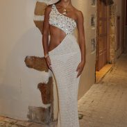 white-fox-summer-mood_106